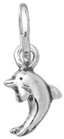 Charm Giovanni Raspini Donna Charms in Argento 10908 - 10908